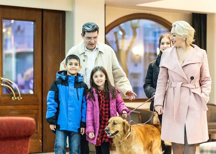 维尔吉纳酒店 酒店 3*